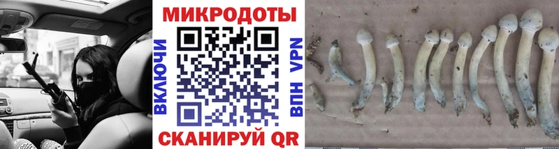 Галлюциногенные грибы прущие грибы  Купить  Воронеж 